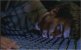 the episode seven thumbnail