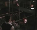 the cargo bay thumbnail